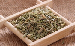 如何選擇茶葉包裝機(jī)廠家？選擇標(biāo)準(zhǔn)解析茶葉包裝機(jī)廠家。